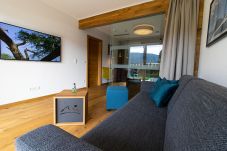 Apartment in Mariapfarr - Apartment OMEGA with one bedroom 