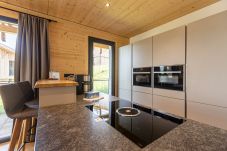 Apartment in Haus im Ennstal - Superior Apartment with 2 bedrooms and sauna & outdoor bathtub