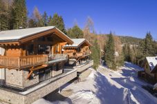 Chalet in Turrach - Superior Chalet for 10 people & sauna 