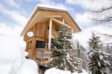 House in Turrach - Chalet # 17 with IR-sauna and outdoor whirlpool