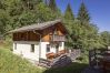 Chalet in Annaberg - Chalet # 17 with 3 BR for up to 6 people