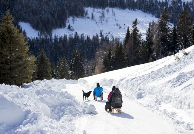 Chalet in Murau - Chalet # 22 with 4 bedrooms & sauna Chalet in Murau - Chalet # 22 with 4 bedrooms & sauna