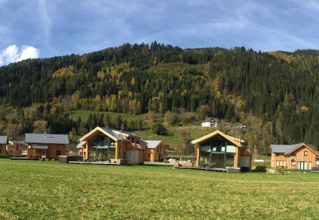 Chalet in Murau - Premium Chalet # 20 with sauna & whirlpool Chalet in Murau - Premium Chalet # 20 with sauna & whirlpool