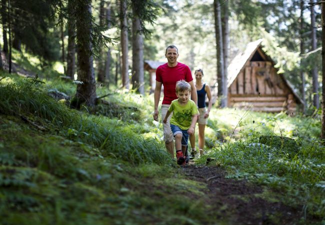 Chalet in Murau - Premium Chalet # 20 with sauna & whirlpool Chalet in Murau - Premium Chalet # 20 with sauna & whirlpool