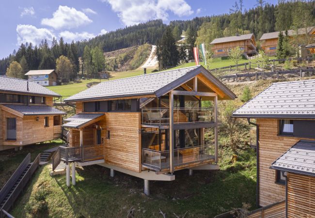 Chalet in Pichl bei Schladming - Superior Chalet # 03 with sauna & bathtub inside Chalet in Pichl bei Schladming - Superior Chalet # 03 with sauna & bathtub inside