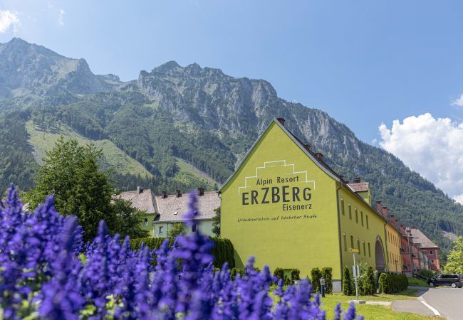House in Eisenerz - Superior Chalet with Sauna House in Eisenerz - Superior Chalet with Sauna