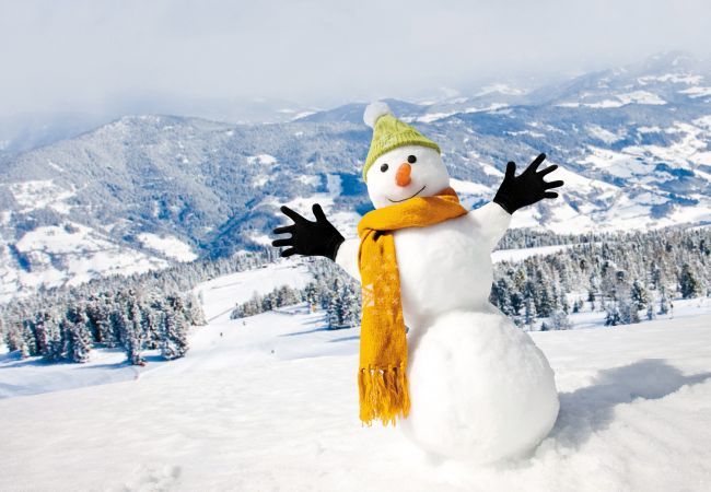 House in St. Georgen am Kreischberg - Superior Chalet # 23 with IR Sauna & Whirlpool House in St. Georgen am Kreischberg - Superior Chalet # 23 with IR Sauna & Whirlpool