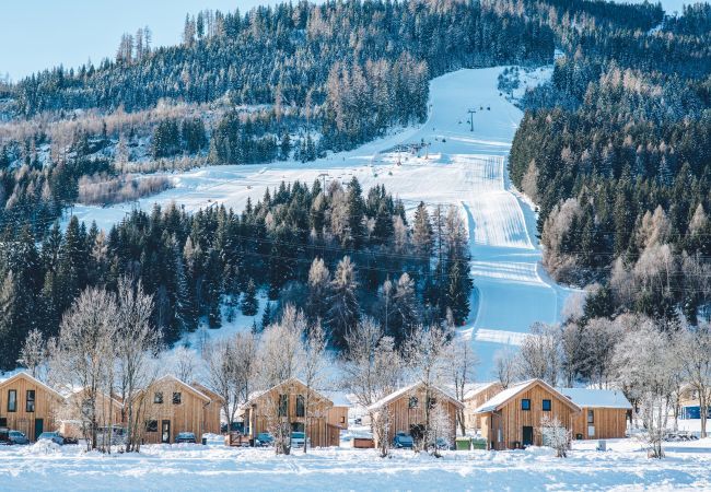 House in St. Georgen am Kreischberg - Chalet # 6b with 4 bedrooms & IR sauna House in St. Georgen am Kreischberg - Chalet # 6b with 4 bedrooms & IR sauna