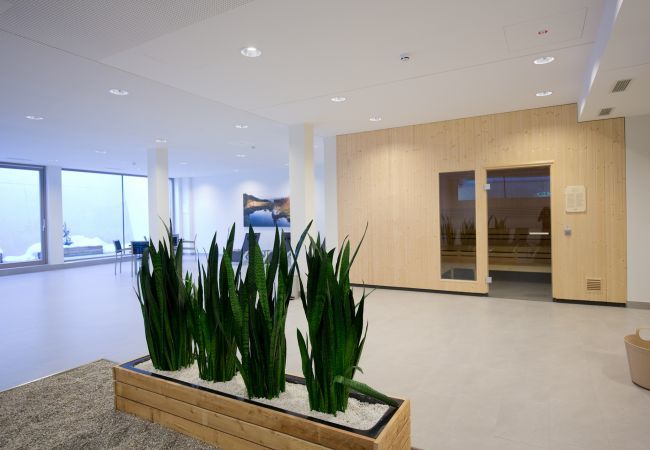 Apartment in Rohrmoos-Untertal - Apartment with 3 bedrooms and sauna area Apartment in Rohrmoos-Untertal - Apartment with 3 bedrooms and sauna area