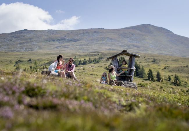 Chalet in St. Lambrecht - Chalet  for up to 11 people with sauna Chalet in St. Lambrecht - Chalet  for up to 11 people with sauna