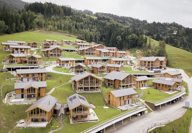 Apartment in Haus im Ennstal - Superior Apartment gallery with 2 bedrooms and sauna & whirlpool Apartment in Haus im Ennstal - Superior Apartment gallery with 2 bedrooms and sauna & whirlpool
