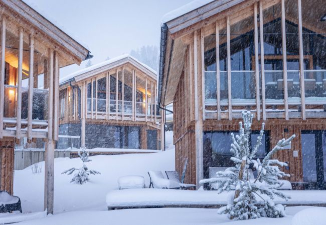 Apartment in Haus im Ennstal - Superior Apartment gallery with 2 bedrooms and sauna & whirlpool Apartment in Haus im Ennstal - Superior Apartment gallery with 2 bedrooms and sauna & whirlpool