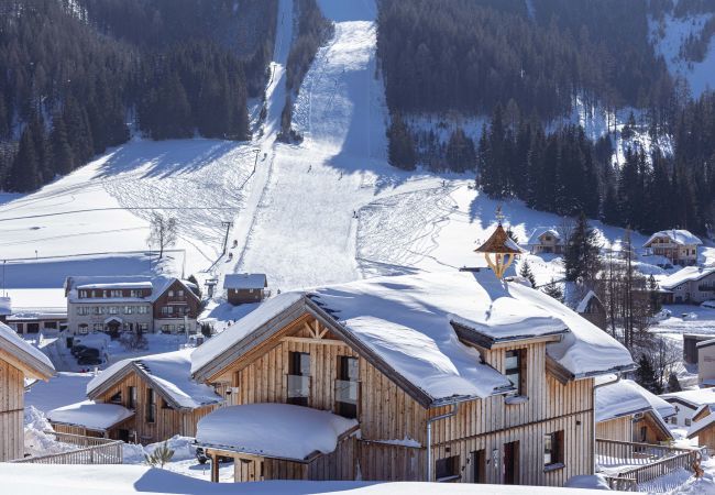 House in Hohentauern - Premium Chalet # 47 with Sauna & Whirlpool House in Hohentauern - Premium Chalet # 47 with Sauna & Whirlpool