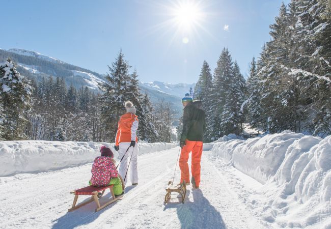 Apartment in Rauris - Superior Apartment with 1 bedroom  Apartment in Rauris - Superior Apartment with 1 bedroom