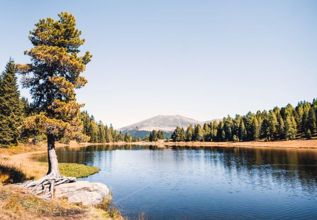 Chalet in Turrach - Superior Chalet for 10 people & sauna  Chalet in Turrach - Superior Chalet for 10 people & sauna