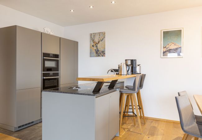 Apartment in Haus im Ennstal - Premium Apartment with 2 bedrooms and sauna & whirlpool Apartment in Haus im Ennstal - Premium Apartment with 2 bedrooms and sauna & whirlpool