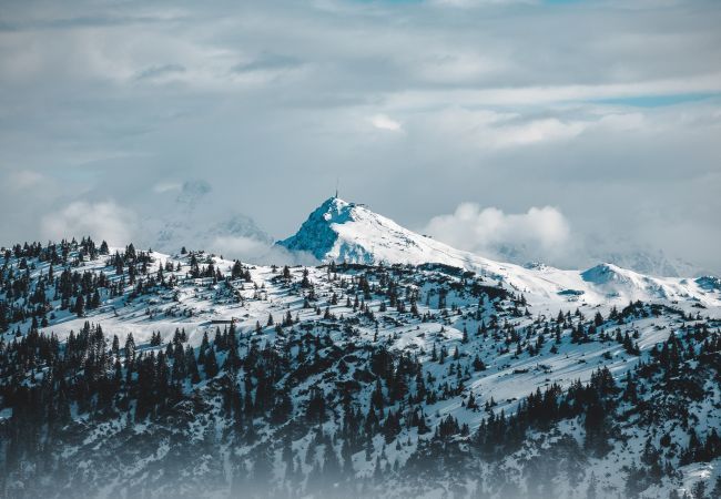 Apartment in Reith bei Kitzbühel - Apartment with 1 bedroom for 3 persons Apartment in Reith bei Kitzbühel - Apartment with 1 bedroom for 3 persons