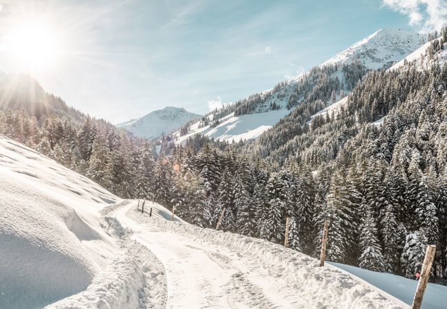 Apartment in Reith bei Kitzbühel - Apartment with 2 bedrooms for 4 persons Apartment in Reith bei Kitzbühel - Apartment with 2 bedrooms for 4 persons