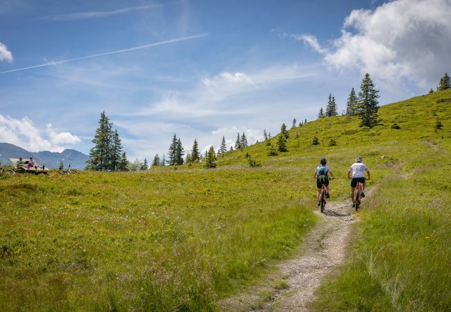 Apartment in Fügen - Apartment with 1 bedroom & balcony Apartment in Fügen - Apartment with 1 bedroom & balcony