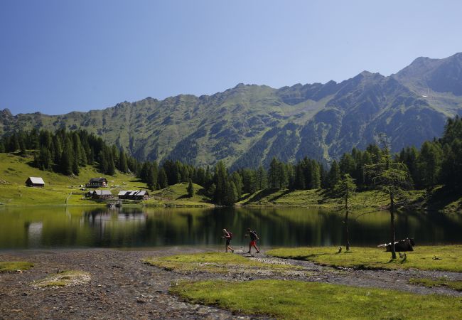 Apartment in Rohrmoos-Untertal - Superior Apartment with 3 bedrooms and private sauna Apartment in Rohrmoos-Untertal - Superior Apartment with 3 bedrooms and private sauna