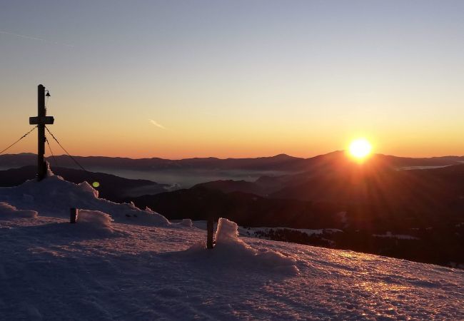 House in Turrach - Chalet # 5 with IR-sauna & whirlpool bath House in Turrach - Chalet # 5 with IR-sauna & whirlpool bath