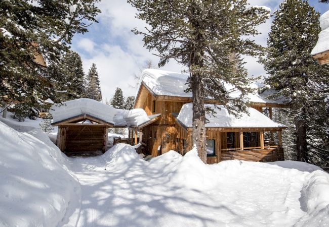 House in Turrach - Chalet #16 with IR-sauna and indoor whirlpool House in Turrach - Chalet #16 with IR-sauna and indoor whirlpool