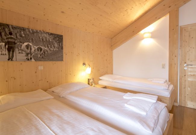 House in Turrach - Chalet #16 with IR-sauna and indoor whirlpool House in Turrach - Chalet #16 with IR-sauna and indoor whirlpool