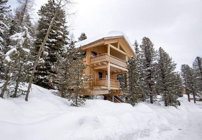 House in Turrach - Chalet # 25 with sauna and indoor whirlpool House in Turrach - Chalet # 25 with sauna and indoor whirlpool