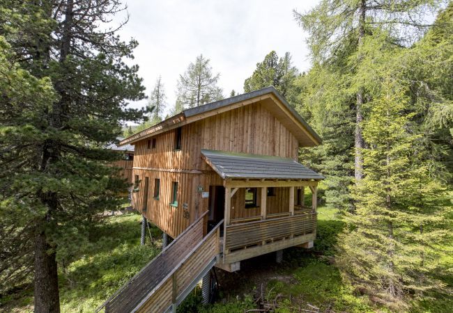 House in Turrach - Chalet # 39 with IR-sauna and indoor whirlpool House in Turrach - Chalet # 39 with IR-sauna and indoor whirlpool