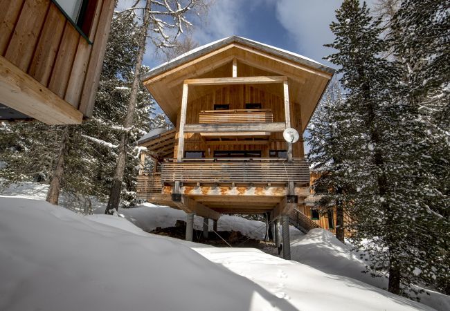House in Turrach - Chalet # 39 with IR-sauna and indoor whirlpool House in Turrach - Chalet # 39 with IR-sauna and indoor whirlpool
