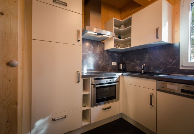 House in Turrach - Chalet # 39 with IR-sauna and indoor whirlpool House in Turrach - Chalet # 39 with IR-sauna and indoor whirlpool