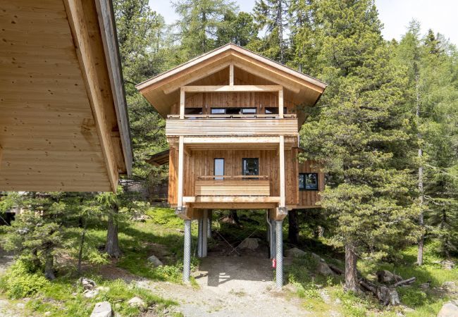 House in Turrach - Chalet #29 with IR-sauna and indoor whirlpool House in Turrach - Chalet #29 with IR-sauna and indoor whirlpool