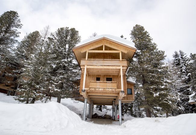 House in Turrach - Chalet #29 with IR-sauna and indoor whirlpool House in Turrach - Chalet #29 with IR-sauna and indoor whirlpool