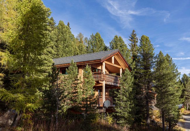 House in Turrach - Chalet #4 with sauna & indoor whirlpool House in Turrach - Chalet #4 with sauna & indoor whirlpool