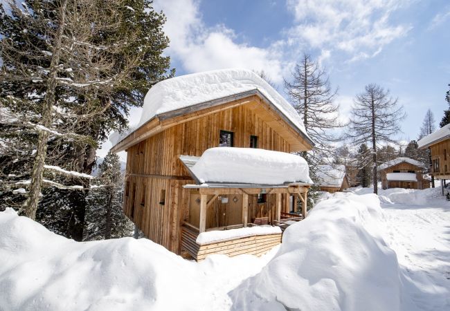 House in Turrach - Chalet # 11 with IR-sauna & indoor whirlpool House in Turrach - Chalet # 11 with IR-sauna & indoor whirlpool