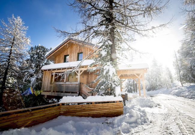 House in Turrach - Chalet #13 with IR-sauna and indoor whirlpool House in Turrach - Chalet #13 with IR-sauna and indoor whirlpool