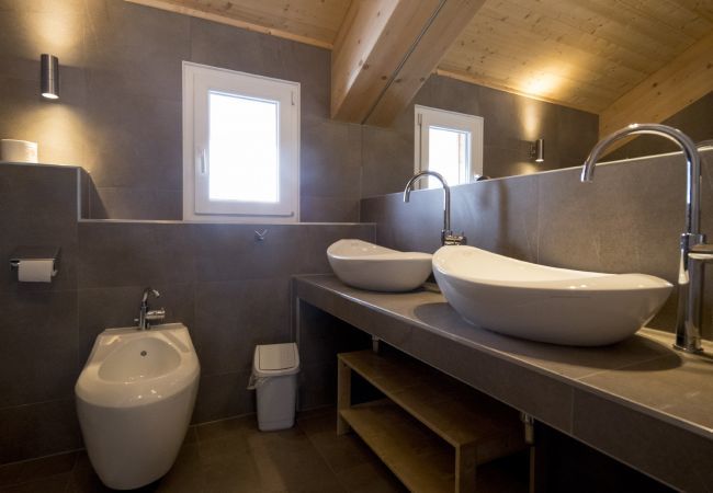 House in Turrach - Chalet #13 with IR-sauna and indoor whirlpool House in Turrach - Chalet #13 with IR-sauna and indoor whirlpool