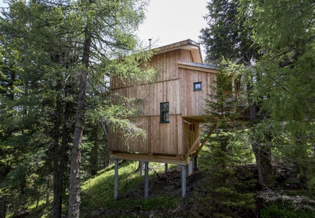 House in Turrach - Chalet # 20 with IR-sauna and whirlpool bath House in Turrach - Chalet # 20 with IR-sauna and whirlpool bath