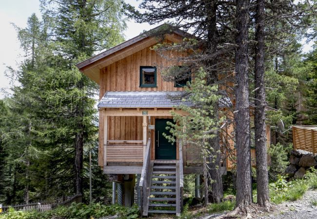 House in Turrach - Chalet # 22 with sauna and indoor whirlpool House in Turrach - Chalet # 22 with sauna and indoor whirlpool