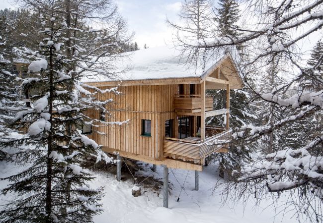 House in Turrach - Chalet # 22 with sauna and indoor whirlpool House in Turrach - Chalet # 22 with sauna and indoor whirlpool
