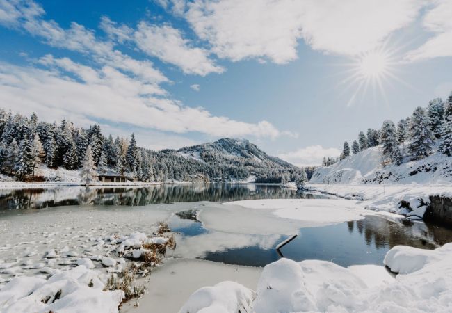 House in Turrach - Chalet # 49 with IR-sauna and whirlpool bath House in Turrach - Chalet # 49 with IR-sauna and whirlpool bath