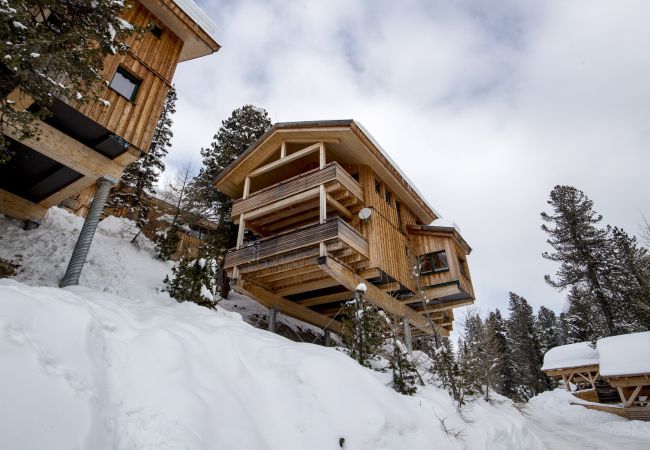 House in Turrach - Chalet #40 with IR-sauna and indoor whirlpool House in Turrach - Chalet #40 with IR-sauna and indoor whirlpool