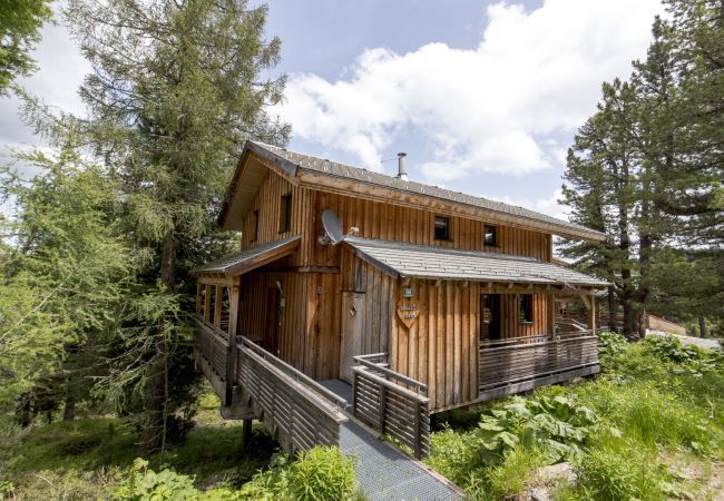 House in Turrach - Chalet # 8 with IR-sauna & whirlpool bath House in Turrach - Chalet # 8 with IR-sauna & whirlpool bath