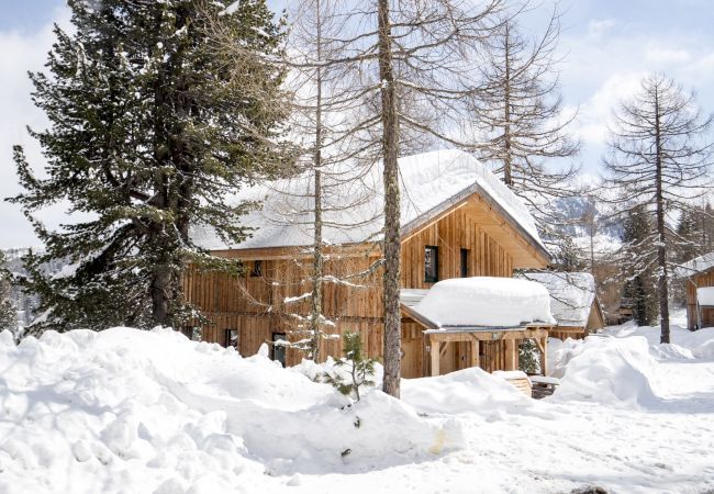 House in Turrach - Chalet #12 with IR-sauna & indoor whirlpool House in Turrach - Chalet #12 with IR-sauna & indoor whirlpool