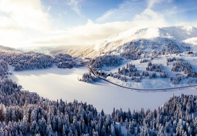 House in Turrach - Chalet #19 with IR-sauna and indoor whirlpool House in Turrach - Chalet #19 with IR-sauna and indoor whirlpool