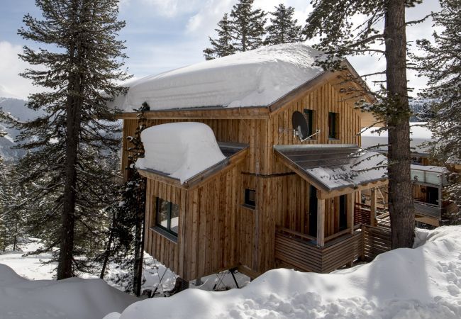 House in Turrach - Chalet #47 with IR-sauna and indoor whirlpool House in Turrach - Chalet #47 with IR-sauna and indoor whirlpool