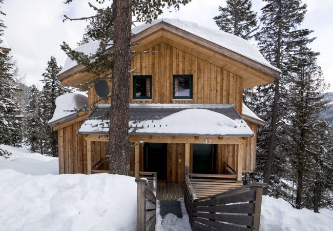 House in Turrach - Chalet #47 with IR-sauna and indoor whirlpool House in Turrach - Chalet #47 with IR-sauna and indoor whirlpool