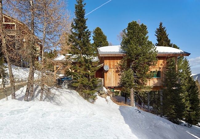 House in Turrach - Chalet #45 with IR-sauna and indoor whirlpool House in Turrach - Chalet #45 with IR-sauna and indoor whirlpool