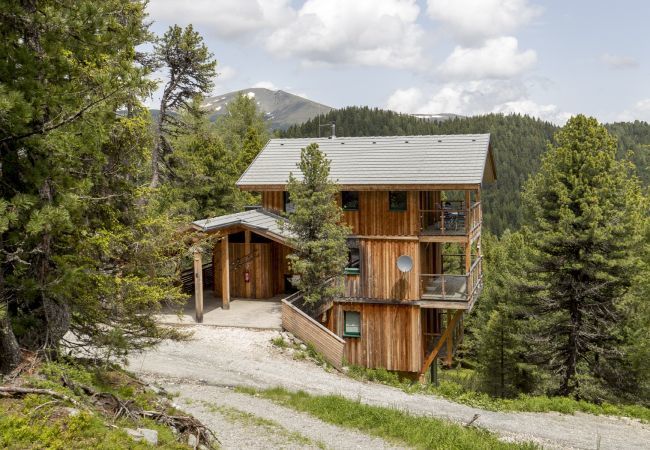 House in Turrach - Chalet # 6 with IR-sauna and whirlpool bath House in Turrach - Chalet # 6 with IR-sauna and whirlpool bath