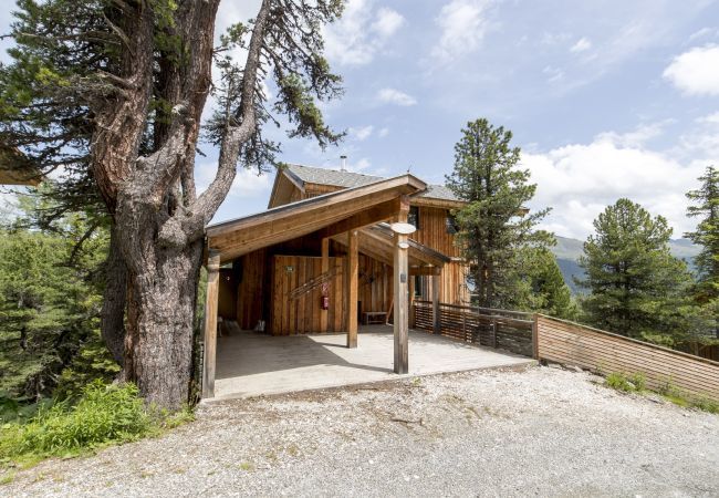 House in Turrach - Chalet # 6 with IR-sauna and whirlpool bath House in Turrach - Chalet # 6 with IR-sauna and whirlpool bath